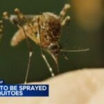 FDR Park in South Philadelphia to be sprayed for mosquitoes