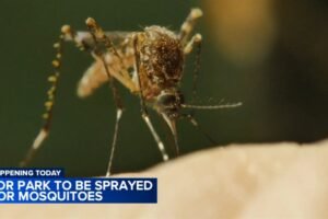 FDR Park in South Philadelphia to be sprayed for mosquitoes