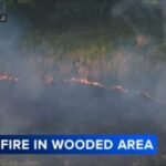 Brush fire breaks out in Deptford Twp., Gloucester County