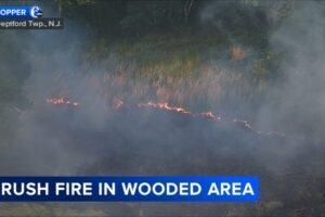 Brush fire breaks out in Deptford Twp., Gloucester County