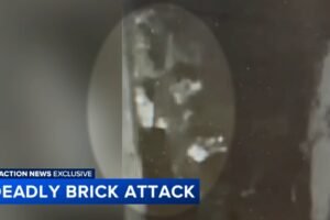 Arrest made after woman beat to death with brick in North Philadelphia: Police