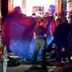 16-year-old carriage horse dies in New York City's Central Park