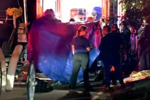 16-year-old carriage horse dies in New York City's Central Park