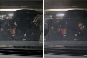 Video shows police officer accidentally shot by fellow cop in 'horseplay' incident in Pasadena, California