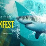 What's swimming onto screens for Nat Geo's 'Sharkfest'?