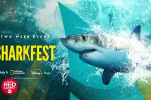 What's swimming onto screens for Nat Geo's 'Sharkfest'?