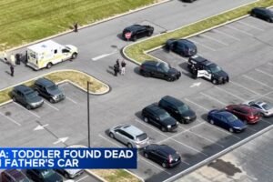 Toddler dies after being left in father's car all day in Lower Nazareth Township : DA