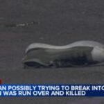 Police investigating after man ran over, killed in Philadelphia's Roxborough section