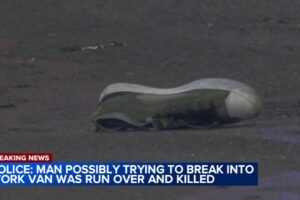 Police investigating after man ran over, killed in Philadelphia's Roxborough section