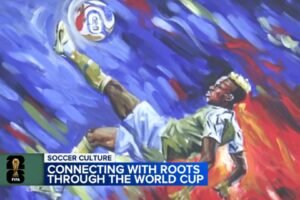 Ivory Coast vs. Ecuador: World Cup matches bring international pride to Philly