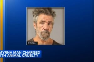 Man facing charges after 19 dogs rescued from inside home in Smyrna, Del.