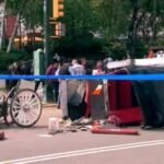 Man dies after carriage horse gets loose in New York City's Central Park, crash
