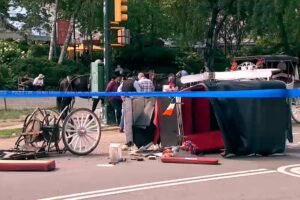 Man dies after carriage horse gets loose in New York City's Central Park, crash