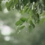 A dry start to Summer in KELOLAND