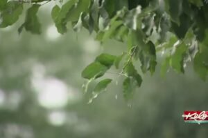 A dry start to Summer in KELOLAND