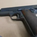 Brockton teen arrested after shots fired in Hyde Park, police say