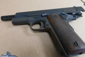 Brockton teen arrested after shots fired in Hyde Park, police say