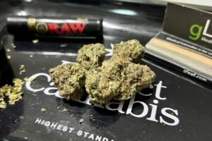 High-potency cannabis fuels state debates over psychosis and addiction risks