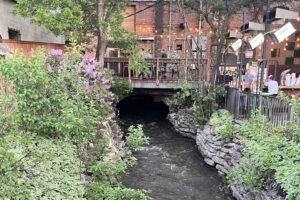Bringing Bozeman Creek into the light