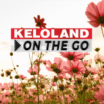 Deputy terminated; Van fire; Severe weather chances