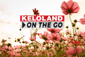Deputy terminated; Van fire; Severe weather chances