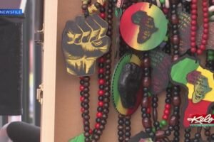 'Rooted in History' Sioux Falls celebrates Juneteenth