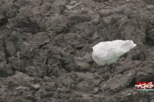 The problems posed by plastic bags