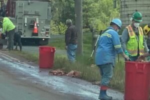 Meat plant spreads 1000s of gallons of blood on fields, fouling Pa. town's water