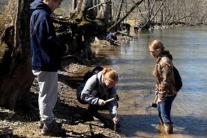 ‘Live stakes’ transform Pennsylvania creek banks from invasive grass to native shrubs