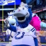 Blue named NFL 'Mascot of the Year,' earning back-to-back honors for the Colts