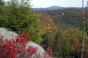 20-year-old Mass. hiker dies after medical event in Monadnock State Park