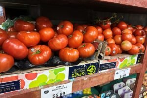 FACT FOCUS: Is inflation a red state vs. blue state issue? It's increasing no matter how you cut it