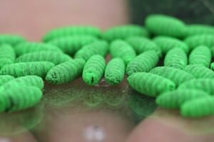 Political blame game follows as screwworm parasite threatens cattle in Texas