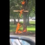 A person is in custody in a Chicago cross burning investigation, police say