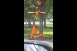A person is in custody in a Chicago cross burning investigation, police say