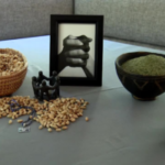 Tar Heel Traveler: Just Neem