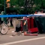 New York mayor, other leaders push to end horse carriage industry after Indian teen's death