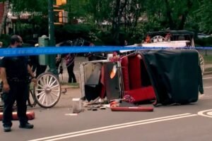 New York mayor, other leaders push to end horse carriage industry after Indian teen's death