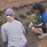 Master Gardeners plant natives at Devil's Gulch near Garreston