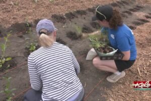 Master Gardeners plant natives at Devil's Gulch near Garreston