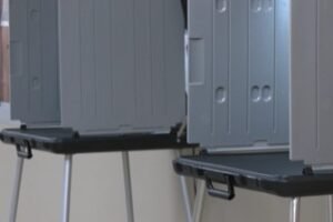 Runoff absentee voting underway: What to know