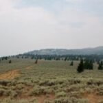 Montana is selling more state trust land than it’s buying