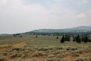 Montana is selling more state trust land than it’s buying