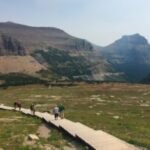 Glacier’s first fatal bear attack in almost 30 years came after surprise encounter