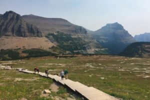 Glacier’s first fatal bear attack in almost 30 years came after surprise encounter