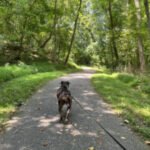 Tick season is getting longer. So is the list of states trying to keep up.
