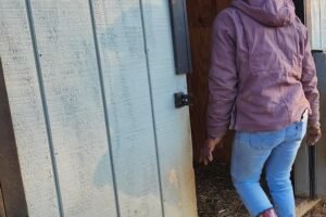 PA Local Heroes: The farm owner who turned her property into a haven for military vets, families