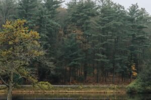 Millions from state lands could be redirected to rural Pennsylvania to help make up for tax-exempt property