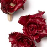 How Bitter Radicchio Became Portland’s 21st-Century Sweetheart