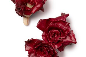 How Bitter Radicchio Became Portland’s 21st-Century Sweetheart